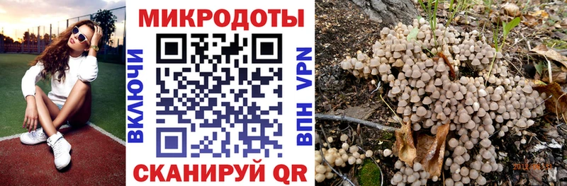 Псилоцибиновые грибы GOLDEN TEACHER Мантурово